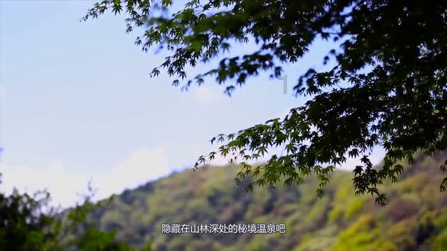 2023“博物馆里过大年”精彩回顾：曲沃县晋国博物馆